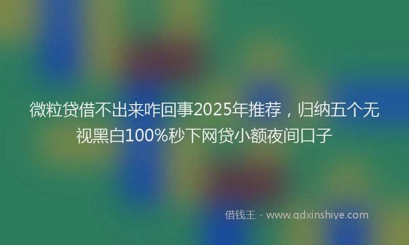 微粒贷借不出来咋回事2025年推荐，归纳五个无视黑白100%秒下网贷小额夜间口子