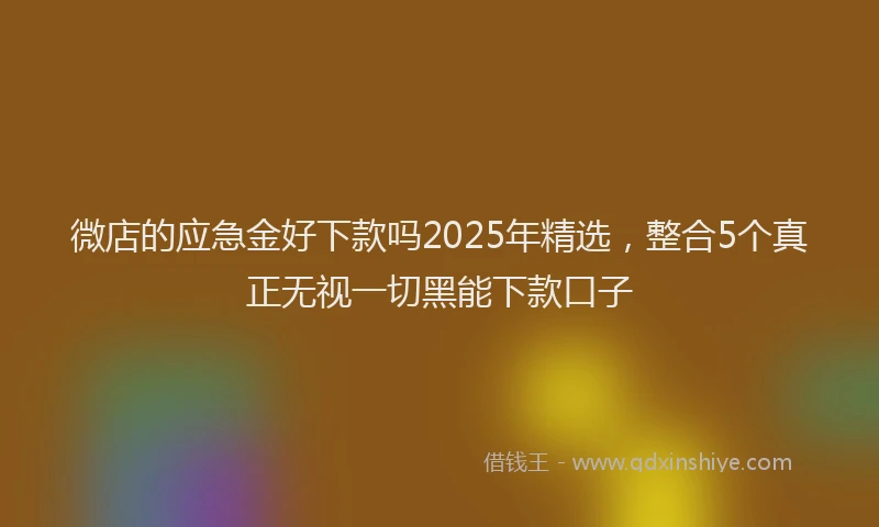 微店的应急金好下款吗2025年精选，整合5个真正无视一切黑能下款口子