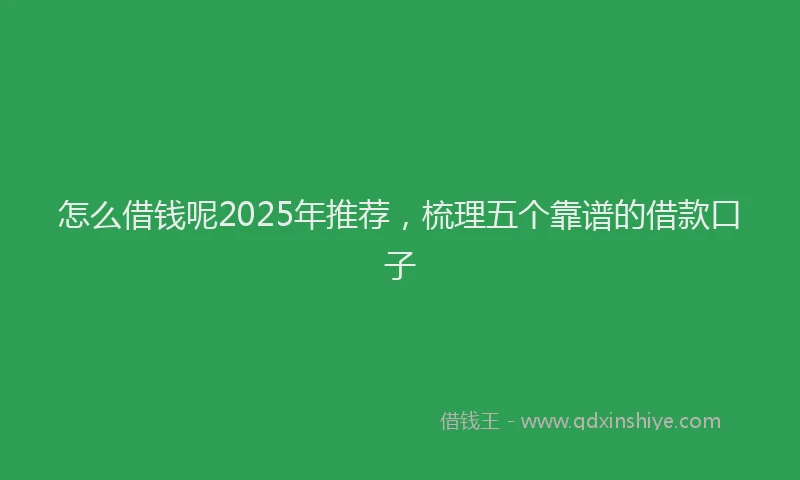怎么借钱呢2025年推荐，梳理五个靠谱的借款口子