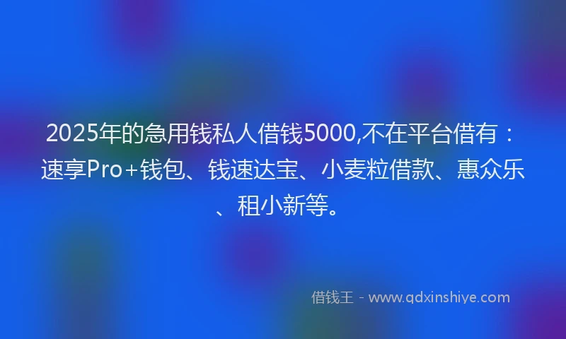 2025年的急用钱私人借钱5000,不在平台借有：速享Pro+钱包、钱速达宝、小麦粒借款、惠众乐、租小新等。