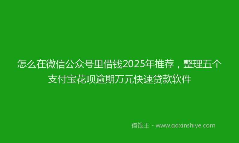 怎么在微信公众号里借钱2025年推荐，整理五个支付宝花呗逾期万元快速贷款软件
