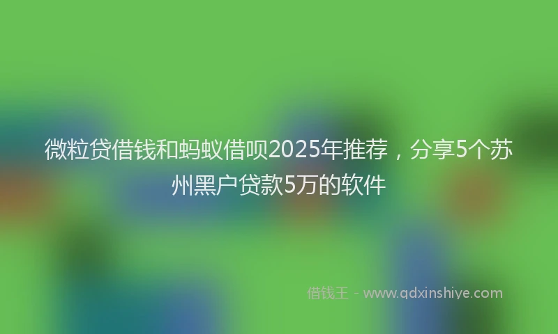 微粒贷借钱和蚂蚁借呗2025年推荐，分享5个苏州黑户贷款5万的软件