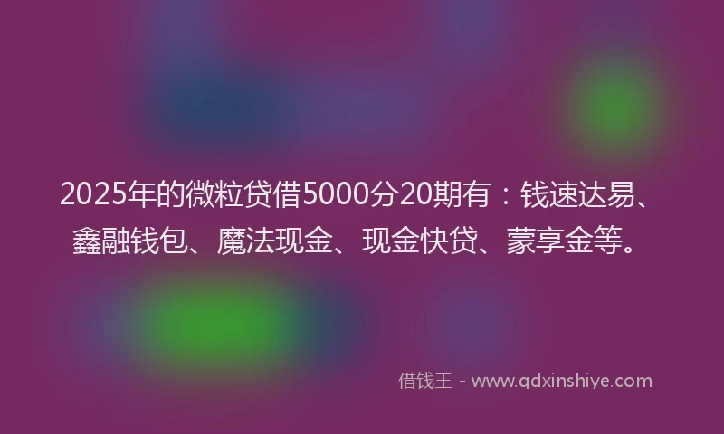 2025年的微粒贷借5000分20期有：钱速达易、鑫融钱包、魔法现金、现金快贷、蒙享金等。