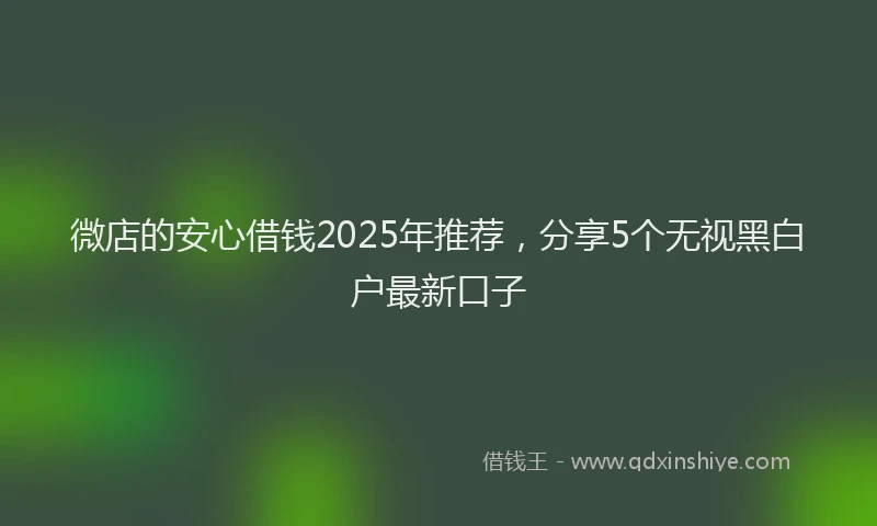 微店的安心借钱2025年推荐，分享5个无视黑白户最新口子