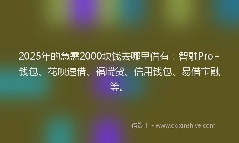 2025年的急需2000块钱去哪里借有：智融Pro+钱包、花呗速借、福瑞贷、信用钱包、易借宝融等。