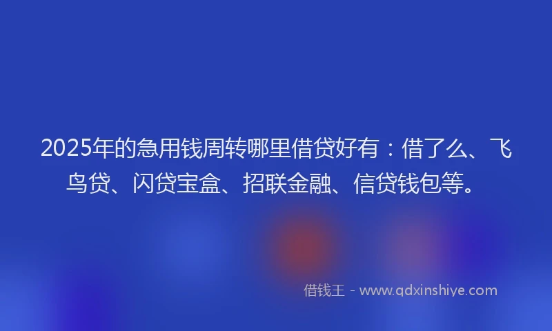 2025年的急用钱周转哪里借贷好有：借了么、飞鸟贷、闪贷宝盒、招联金融、信贷钱包等。