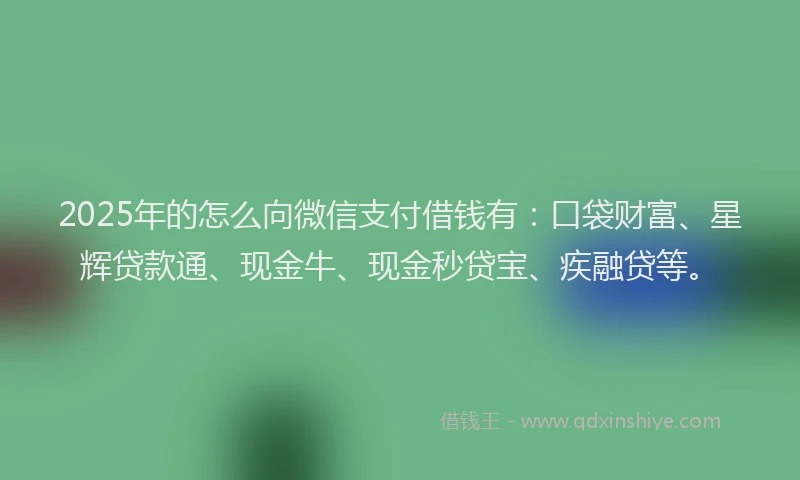 2025年的怎么向微信支付借钱有：口袋财富、星辉贷款通、现金牛、现金秒贷宝、疾融贷等。