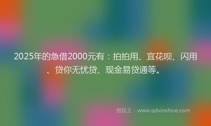 2025年的急借2000元有：拍拍用、宜花呗、闪用、贷你无忧贷、现金易贷通等。