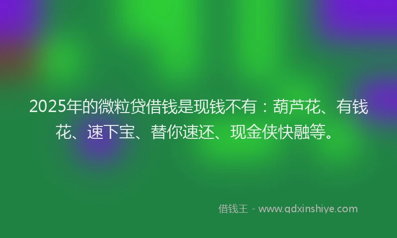 2025年的微粒贷借钱是现钱不有：葫芦花、有钱花、速下宝、替你速还、现金侠快融等。