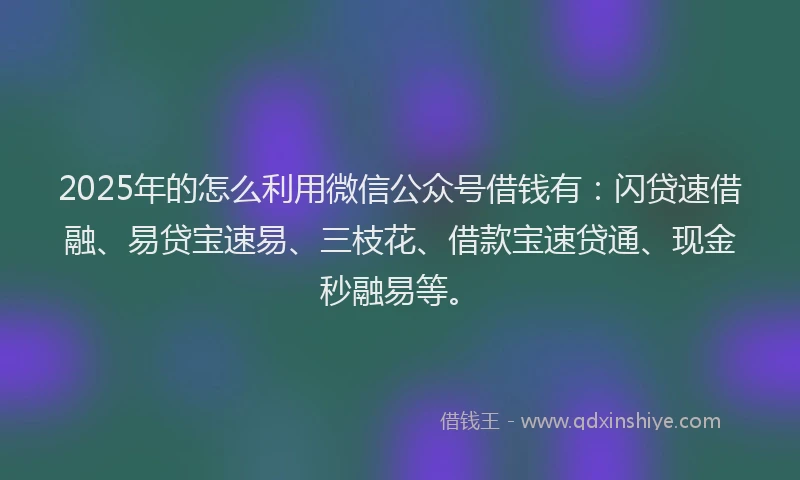 2025年的怎么利用微信公众号借钱有：闪贷速借融、易贷宝速易、三枝花、借款宝速贷通、现金秒融易等。