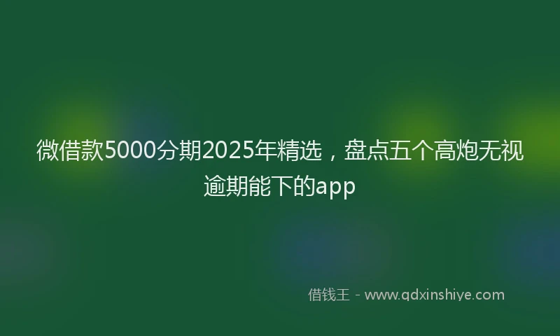 微借款5000分期2025年精选，盘点五个高炮无视逾期能下的app