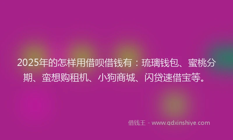 2025年的怎样用借呗借钱有：琉璃钱包、蜜桃分期、蛮想购租机、小狗商城、闪贷速借宝等。