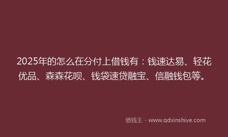 2025年的怎么在分付上借钱有:钱速达易、轻花优品、森森花呗、钱袋速贷融宝、信融钱包等。