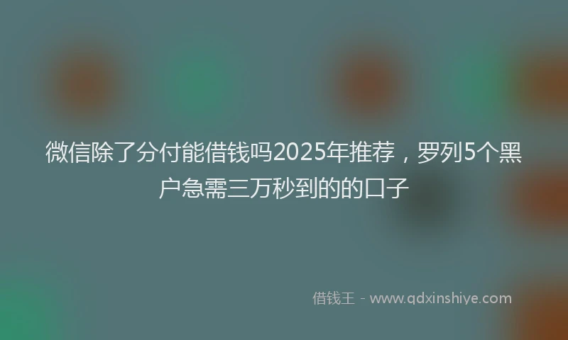 微信除了分付能借钱吗2025年推荐，罗列5个黑户急需三万秒到的的口子