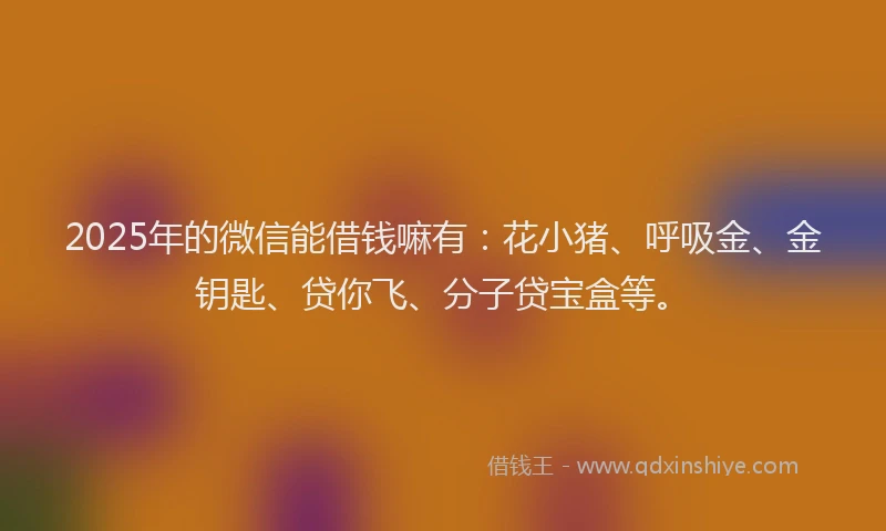 2025年的微信能借钱嘛有：花小猪、呼吸金、金钥匙、贷你飞、分子贷宝盒等。