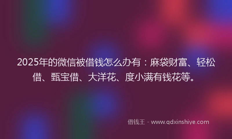2025年的微信被借钱怎么办有：麻袋财富、轻松借、甄宝借、大洋花、度小满有钱花等。