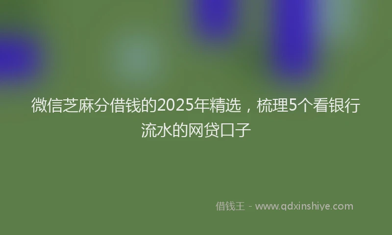 微信芝麻分借钱的2025年精选，梳理5个看银行流水的网贷口子