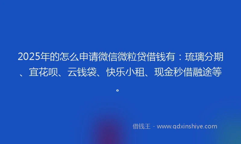 2025年的怎么申请微信微粒贷借钱有：琉璃分期、宜花呗、云钱袋、快乐小租、现金秒借融途等。