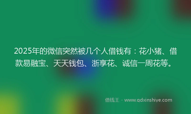 2025年的微信突然被几个人借钱有：花小猪、借款易融宝、天天钱包、浙享花、诚信一周花等。