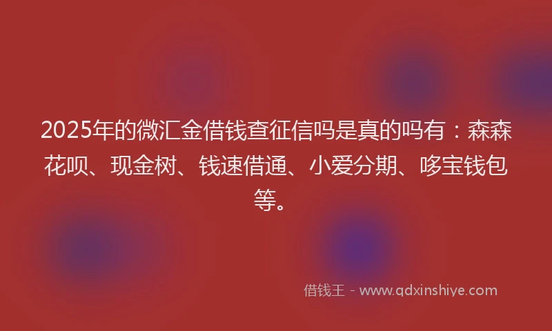 2025年的微汇金借钱查征信吗是真的吗有：森森花呗、现金树、钱速借通、小爱分期、哆宝钱包等。