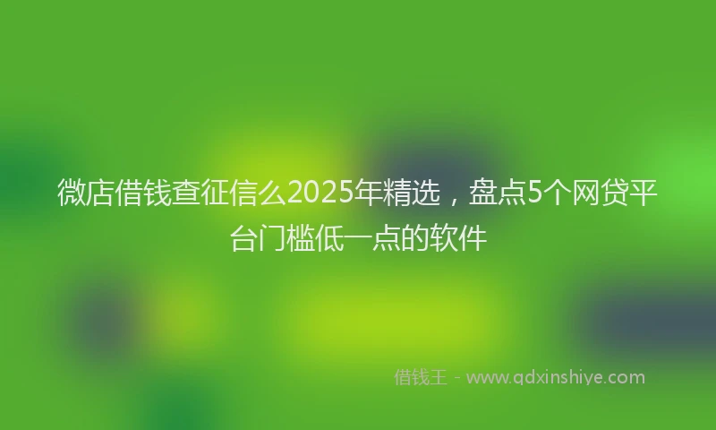 微店借钱查征信么2025年精选，盘点5个网贷平台门槛低一点的软件