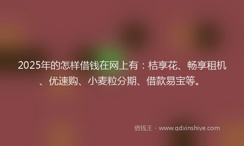 2025年的怎样借钱在网上有：桔享花、畅享租机、优速购、小麦粒分期、借款易宝等。