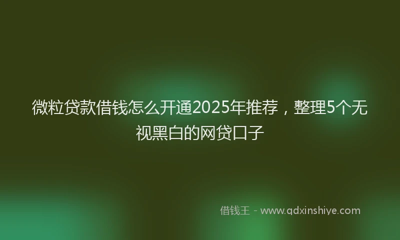 微粒贷款借钱怎么开通2025年推荐，整理5个无视黑白的网贷口子