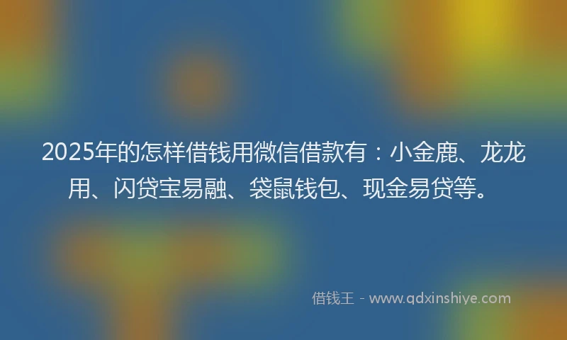 2025年的怎样借钱用微信借款有：小金鹿、龙龙用、闪贷宝易融、袋鼠钱包、现金易贷等。