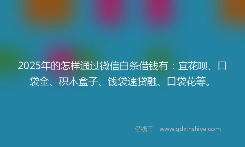 2025年的怎样通过微信白条借钱有：宜花呗、口袋金、积木盒子、钱袋速贷融、口袋花等。