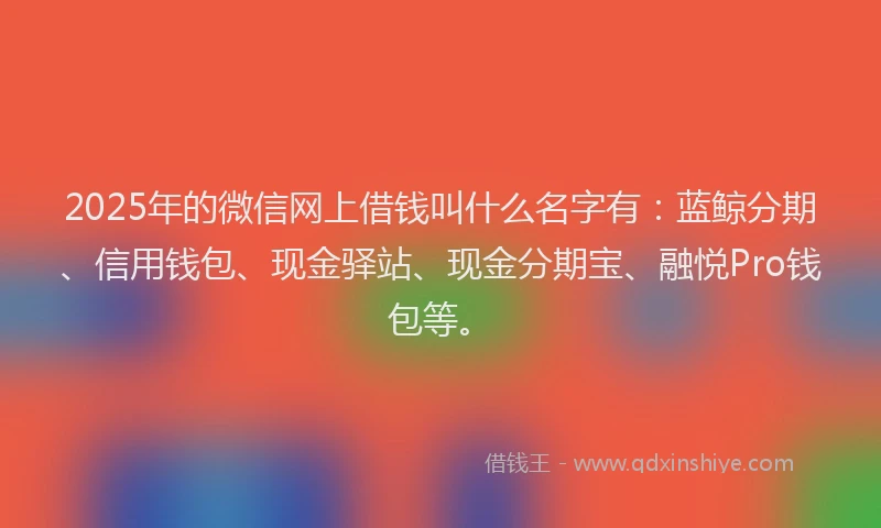 2025年的微信网上借钱叫什么名字有：蓝鲸分期、信用钱包、现金驿站、现金分期宝、融悦Pro钱包等。