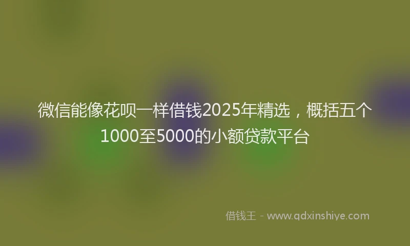 微信能像花呗一样借钱2025年精选，概括五个1000至5000的小额贷款平台
