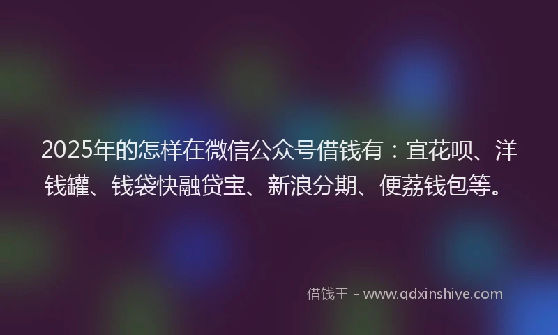 2025年的怎样在微信公众号借钱有：宜花呗、洋钱罐、钱袋快融贷宝、新浪分期、便荔钱包等。