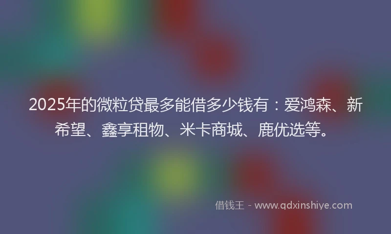 2025年的微粒贷最多能借多少钱有：爱鸿森、新希望、鑫享租物、米卡商城、鹿优选等。