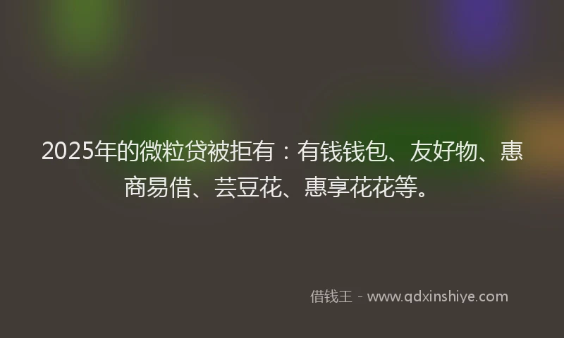 2025年的微粒贷被拒有：有钱钱包、友好物、惠商易借、芸豆花、惠享花花等。