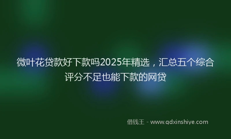 微叶花贷款好下款吗2025年精选，汇总五个综合评分不足也能下款的网贷