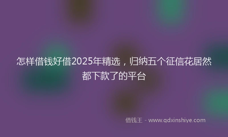 怎样借钱好借2025年精选，归纳五个征信花居然都下款了的平台