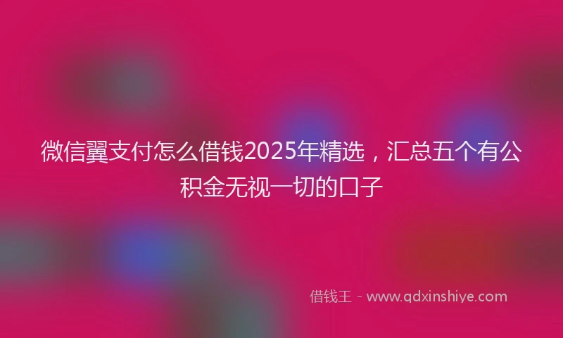 微信翼支付怎么借钱2025年精选，汇总五个有公积金无视一切的口子
