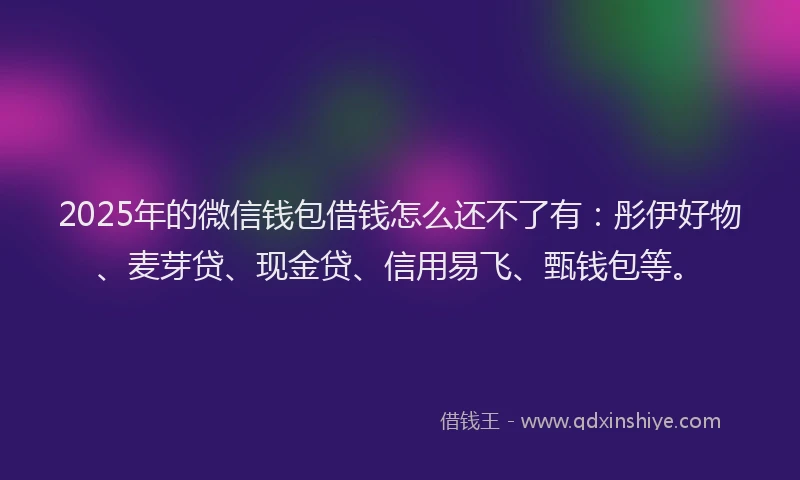 2025年的微信钱包借钱怎么还不了有：彤伊好物、麦芽贷、现金贷、信用易飞、甄钱包等。