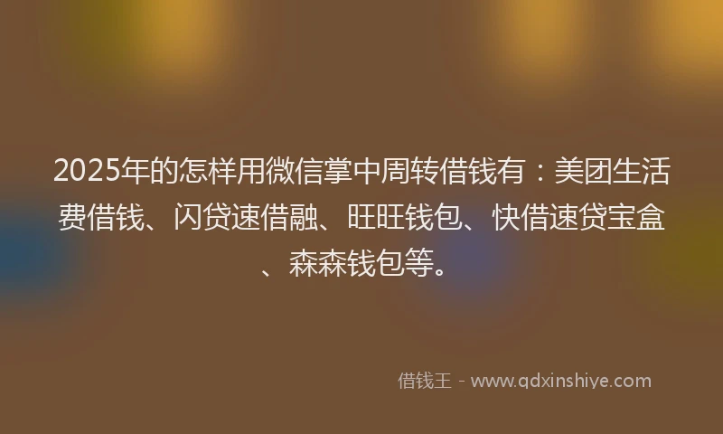 2025年的怎样用微信掌中周转借钱有：美团生活费借钱、闪贷速借融、旺旺钱包、快借速贷宝盒、森森钱包等。