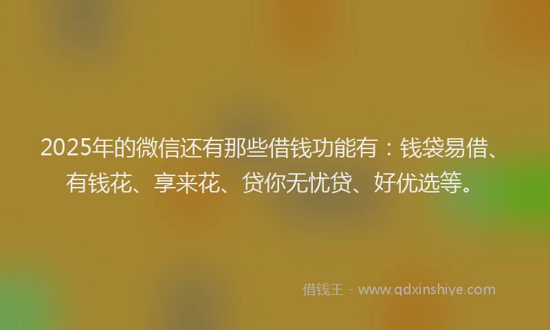 2025年的微信还有那些借钱功能有：钱袋易借、有钱花、享来花、贷你无忧贷、好优选等。