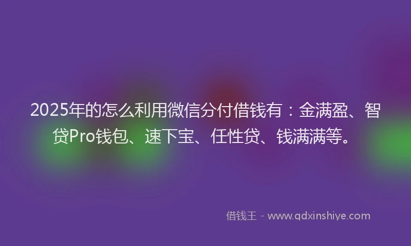 2025年的怎么利用微信分付借钱有：金满盈、智贷Pro钱包、速下宝、任性贷、钱满满等。
