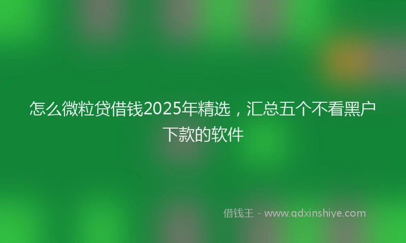 怎么微粒贷借钱2025年精选，汇总五个不看黑户下款的软件