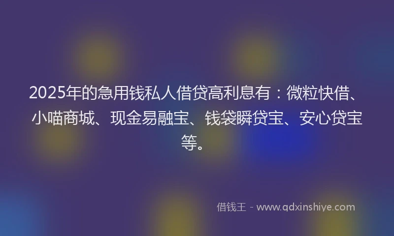 2025年的急用钱私人借贷高利息有：微粒快借、小喵商城、现金易融宝、钱袋瞬贷宝、安心贷宝等。
