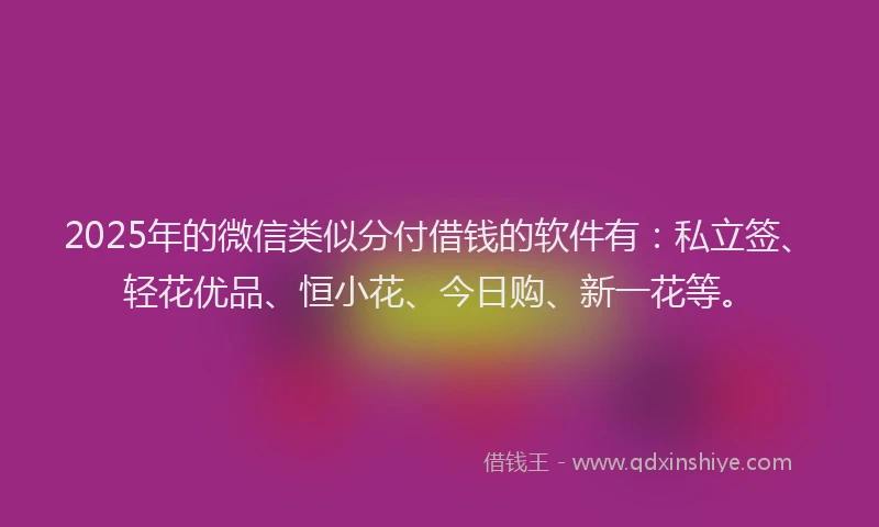 2025年的微信类似分付借钱的软件有：私立签、轻花优品、恒小花、今日购、新一花等。