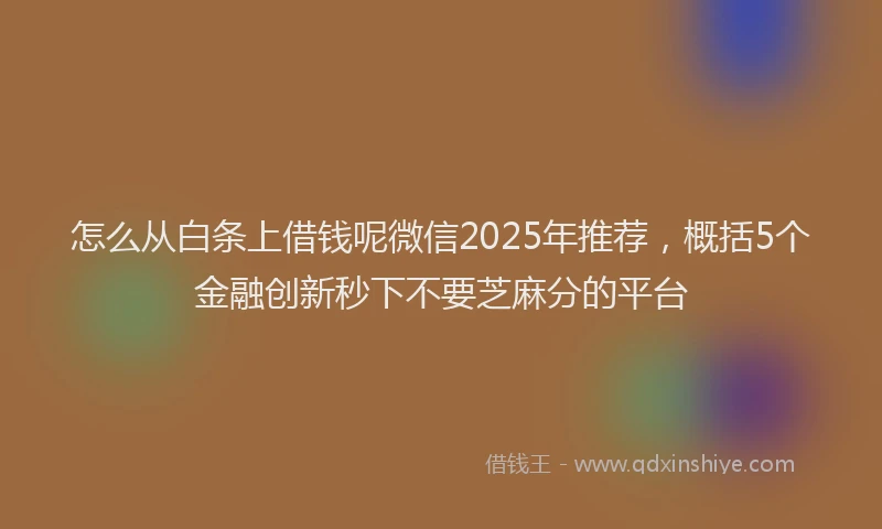 怎么从白条上借钱呢微信2025年推荐，概括5个金融创新秒下不要芝麻分的平台