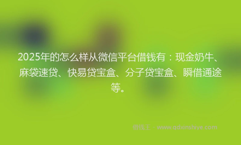 2025年的怎么样从微信平台借钱有：现金奶牛、麻袋速贷、快易贷宝盒、分子贷宝盒、瞬借通途等。