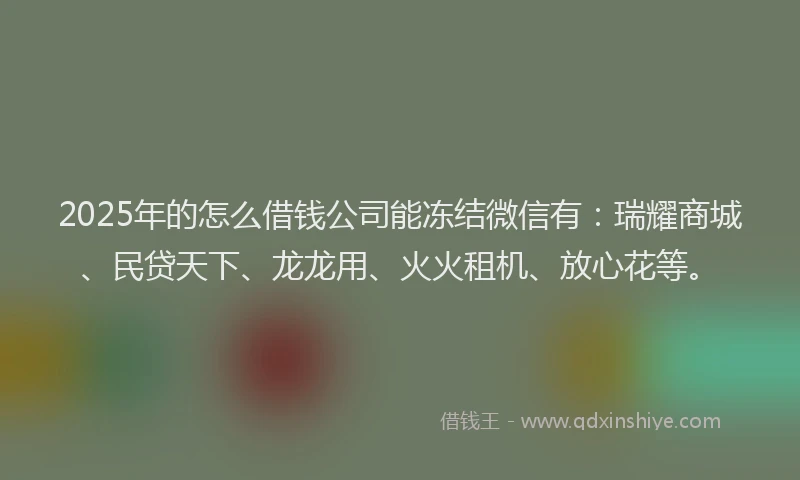 2025年的怎么借钱公司能冻结微信有：瑞耀商城、民贷天下、龙龙用、火火租机、放心花等。