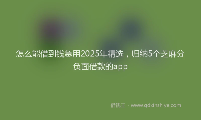 怎么能借到钱急用2025年精选，归纳5个芝麻分负面借款的app