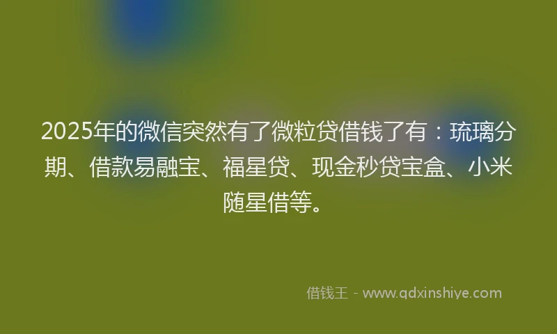 2025年的微信突然有了微粒贷借钱了有：琉璃分期、借款易融宝、福星贷、现金秒贷宝盒、小米随星借等。