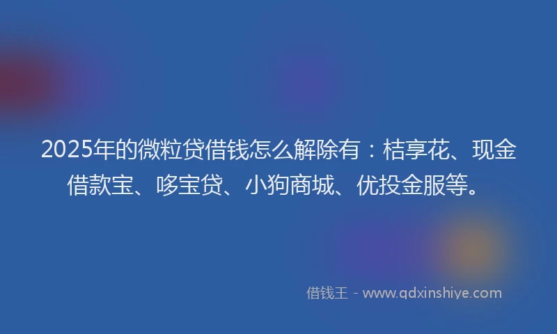 2025年的微粒贷借钱怎么解除有：桔享花、现金借款宝、哆宝贷、小狗商城、优投金服等。